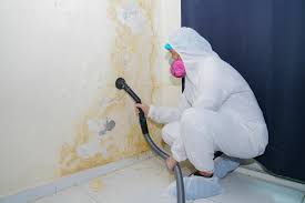 Best Comprehensive Air Testing for Mold Contaminants  in Clendon, AR